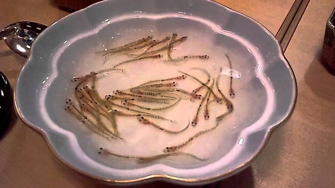 Nhìn cứ ngỡ chậu cá nuôi, ai ngờ đây là món ăn đã tồn tại 300 năm ở Nhật Bản - Ảnh 1.