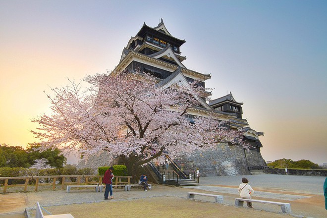 Ghé thăm Kumamoto - một trong Tam đại Quốc bảo thành định hình lịch sử của Nhật Bản - Ảnh 6.