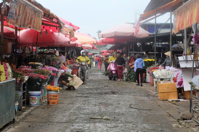 Tiểu thương chợ hoa lớn nhất Hà Nội trắng đêm không ngủ chuẩn bị hàng cho ngày 8/3 - Ảnh 1.