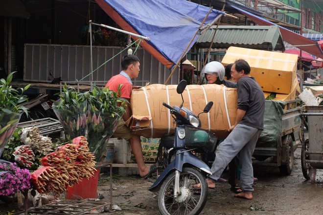 Tiểu thương chợ hoa lớn nhất Hà Nội trắng đêm không ngủ chuẩn bị hàng cho ngày 8/3 - Ảnh 4.