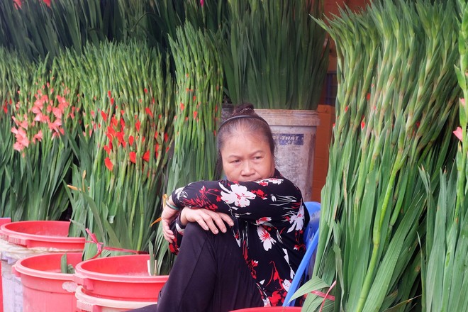 Tiểu thương chợ hoa lớn nhất Hà Nội trắng đêm không ngủ chuẩn bị hàng cho ngày 8/3 - Ảnh 7.