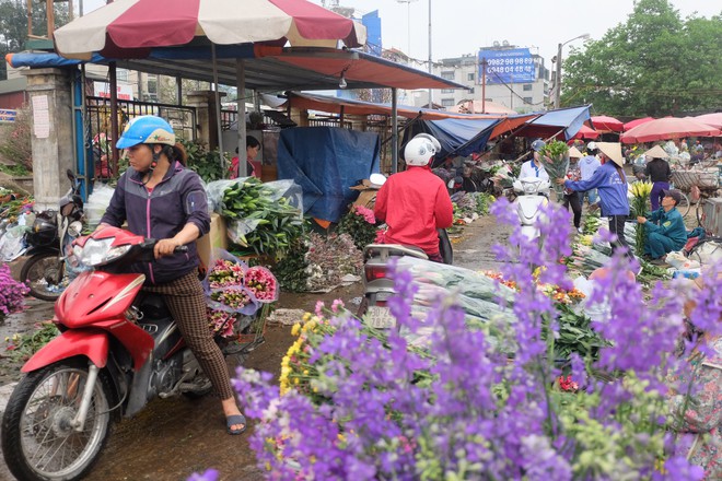 Tiểu thương chợ hoa lớn nhất Hà Nội trắng đêm không ngủ chuẩn bị hàng cho ngày 8/3 - Ảnh 3.