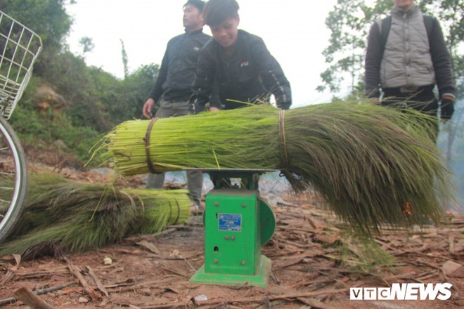 Ảnh: Trẻ em vùng núi Quảng Bình chân trần kéo nhau lên rừng hái lộc trời - Ảnh 3.