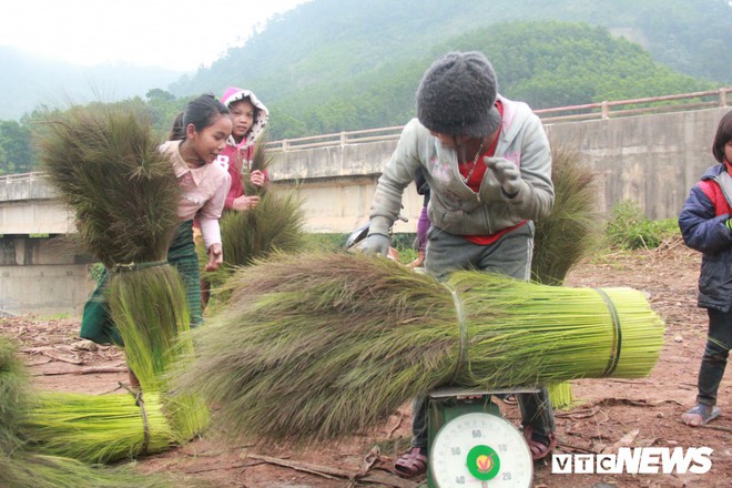 Ảnh: Trẻ em vùng núi Quảng Bình chân trần kéo nhau lên rừng hái lộc trời - Ảnh 6.