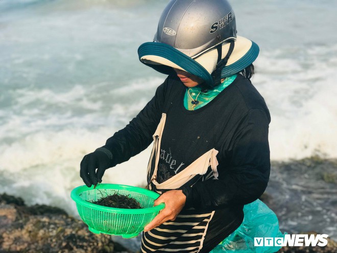 Ảnh: Dân mò mẫm tìm sản vật biển làm món giải nhiệt mùa hè độc nhất Quảng Trị - Ảnh 6.