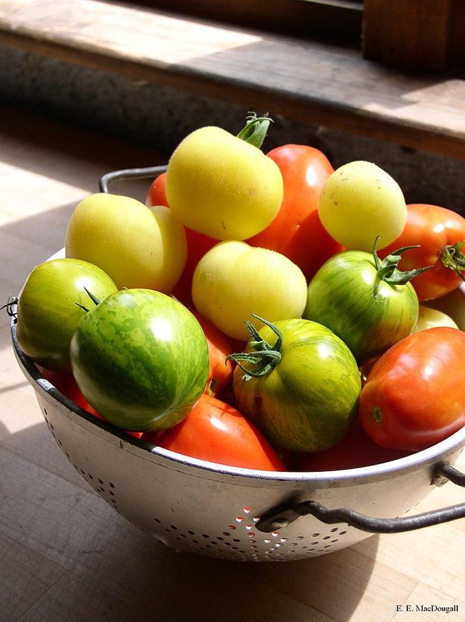 7 loại rau quả mùa hè phòng chống ung thư - Ảnh 1.