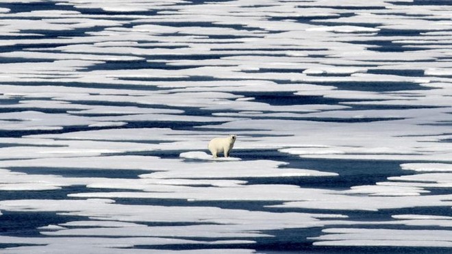 Nam Cực ghi nhận tình trạng tuyết rơi kỷ lục do... Trái đất nóng lên - Ảnh 1.