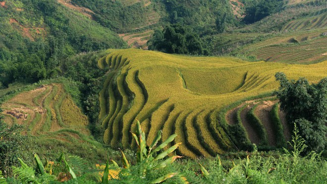 CNN: Đây là 30 điểm đến đẹp nhất Việt Nam - Ảnh 3.