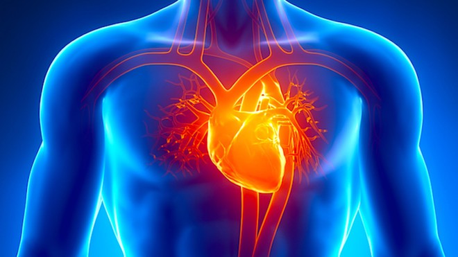 Những dị tật tim bẩm sinh của trẻ có liên quan chặt chẽ với bệnh lý tim mạch ở mẹ - Ảnh 2.