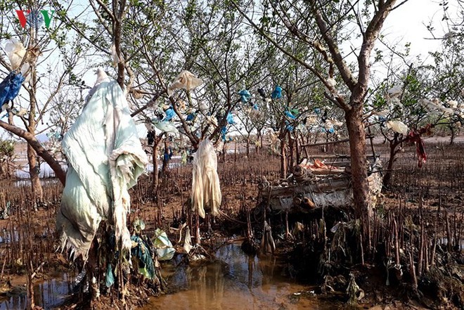 Ảnh: Kinh hoàng rừng cây treo đầy rác ở Thanh Hoá - Ảnh 2.