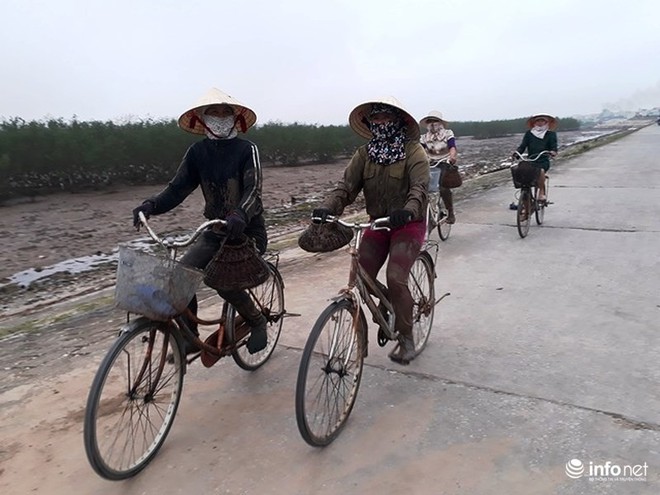 Loại cá kỳ dị nhất hành tinh được nhiều ngư dân săn bắt ở biển Thanh Hóa - Ảnh 7.