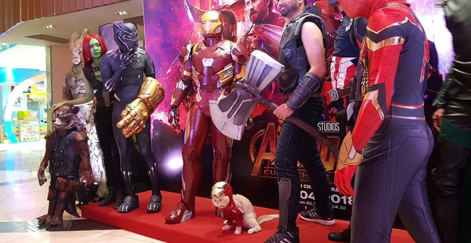 Khách mời đặc biệt gây sốt hơn cả sao Việt tại họp báo phim bom tấn Avengers - Ảnh 3.