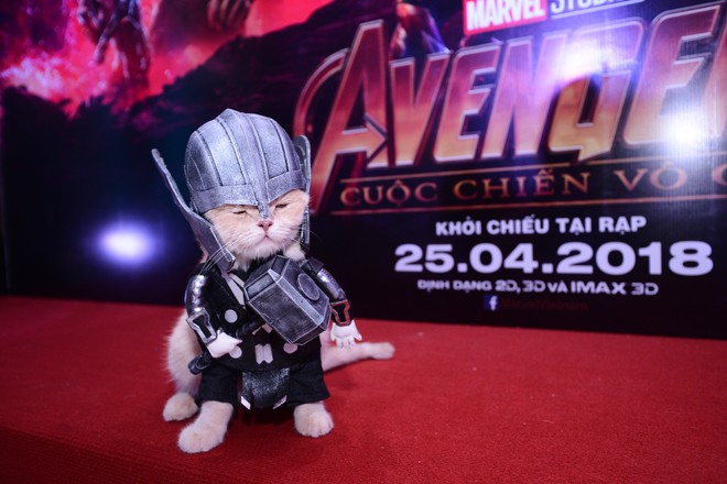 Khách mời đặc biệt gây sốt hơn cả sao Việt tại họp báo phim bom tấn Avengers - Ảnh 10.