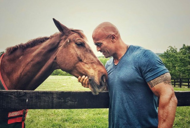 Gã khổng lồ Dwayne Johnson: Ở nhà triệu đô, đi siêu xe khủng, máy bay nhanh nhất thế giới - Ảnh 5.