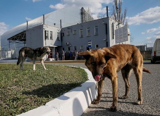 Ám ảnh bên trong nhà máy điện hạt nhân Chernobyl sau hơn 30 năm - Ảnh 13.