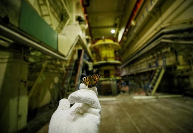 Ám ảnh bên trong nhà máy điện hạt nhân Chernobyl sau hơn 30 năm - Ảnh 3.