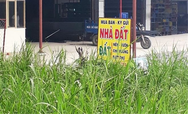 [Ảnh] “Sốt” đất nền lan khắp Sài Gòn, đua nhau tách thửa bán nền - Ảnh 5.