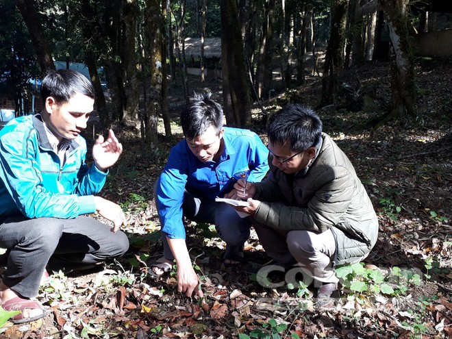 Công phu nghề săn chuột quý tộc - Ảnh 3.