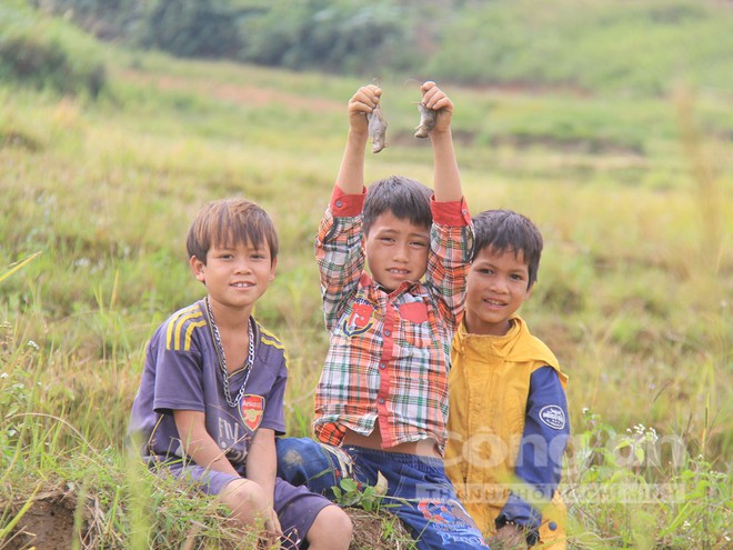 Công phu nghề săn chuột quý tộc - Ảnh 8.