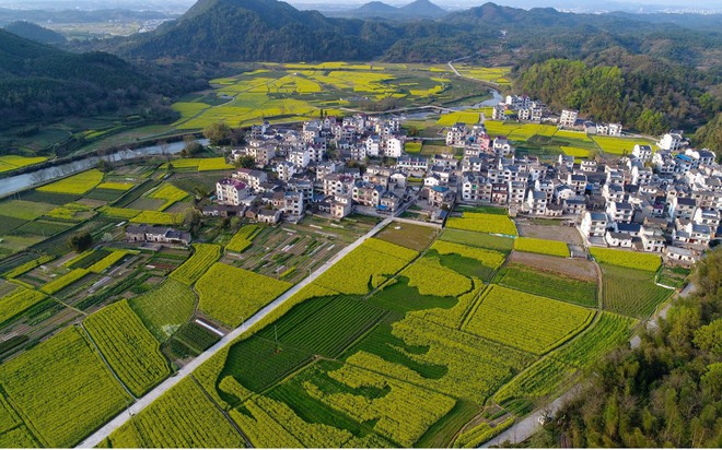 24h qua ảnh: Nhân viên hàng không Nhật phi máy bay giấy - Ảnh 2.