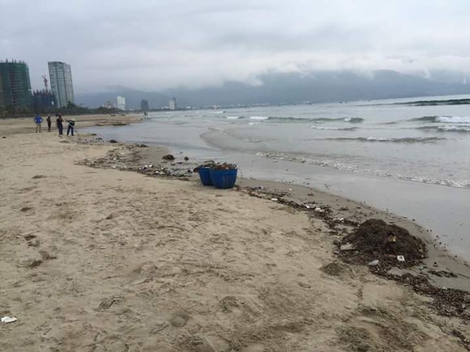Bãi biển Đà Nẵng ngập rác vì mưa lớn trong ngày hàng nghìn du khách đổ về nghỉ lễ - Ảnh 3.