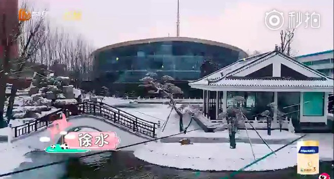 Cuộc sống gi&agrave;u sang, đầy đủ bậc nhất của qu&yacute; tử nh&agrave; Huỳnh Th&aacute;nh Y v&agrave; hệ lụy kh&ocirc;ng ngờ - Ảnh 12.