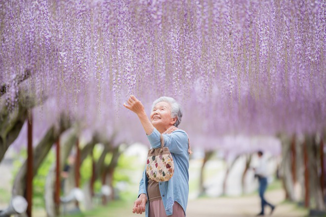 Giữ lời hứa chụp bà và chú chó dưới tầng hoa anh đào, câu chuyện của nhiếp ảnh gia Nhật Bản khiến bao người thổn thức - Ảnh 3.