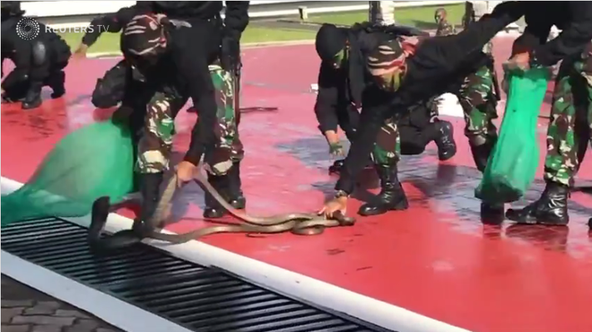 Tham gia diễn tập, tướng Mattis ấn tượng mạnh với màn uống máu rắn của quân đội Indonesia - Ảnh 2.