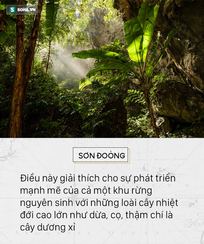 Sao phải đi nước ngoài, cảnh thiên đường này ở Sơn Đoòng đẹp hơn bất kỳ đâu trên thế giới - Ảnh 12.