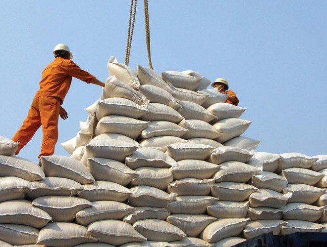 20 chuyên gia từ 5 châu lục bàn phương án tăng giá trị cho gạo Việt - Ảnh 1.