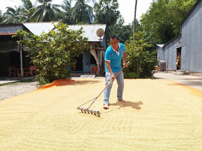 Quyền Linh, Hoài Linh, Mỹ Tâm sở hữu tài sản siêu khủng vẫn sống cực giản dị - Ảnh 2.