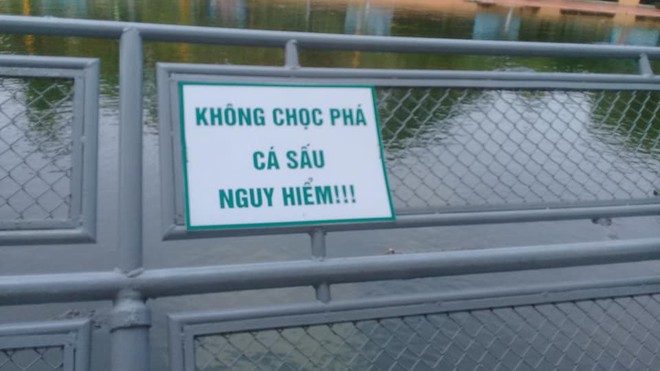 Kệ biển cảnh báo nguy hiểm, người phụ nữ vẫn cầm ô chọc cá sấu, trêu đùa mạng sống của mình - Ảnh 5.