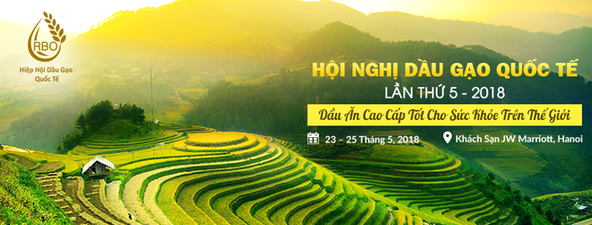20 chuyên gia từ 5 châu lục bàn phương án tăng giá trị cho gạo Việt - Ảnh 3.