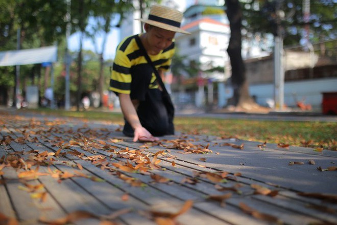 Sài Gòn đẹp mê hồn với mùa chò nâu xoay tít - Ảnh 4.