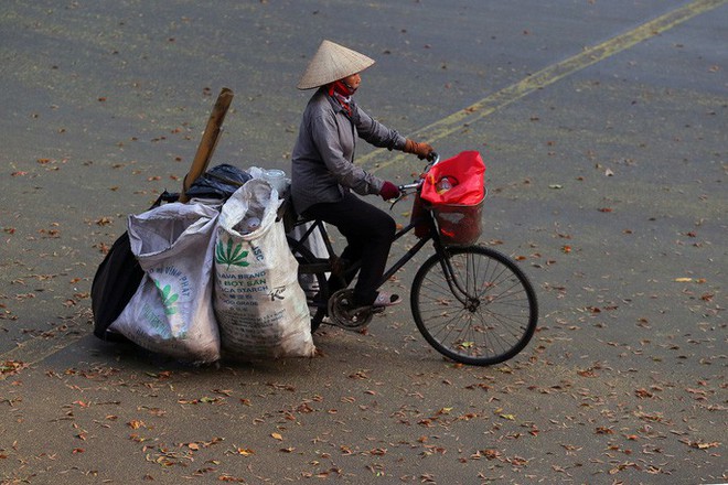 Sài Gòn đẹp mê hồn với mùa chò nâu xoay tít - Ảnh 10.