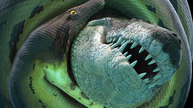 Titanoboa - Mãng xà cổ đại: Dài gấp đôi Anaconda, chuyên làm thịt cá sấu tiền sử - Ảnh 1.