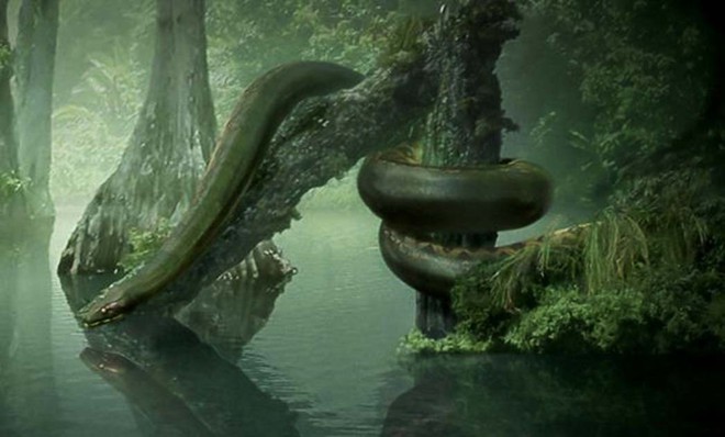Titanoboa - Mãng xà cổ đại: Dài gấp đôi Anaconda, chuyên làm thịt cá sấu tiền sử - Ảnh 3.