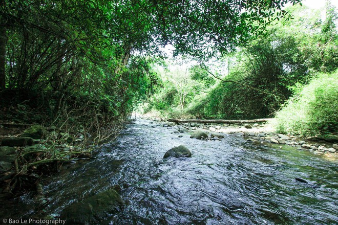 Những tai nạn đáng tiếc ở Tà Năng - Phan Dũng: Cung đường trekking đẹp nhất Việt Nam nhưng cũng đầy hiểm nguy khó lường - Ảnh 11.