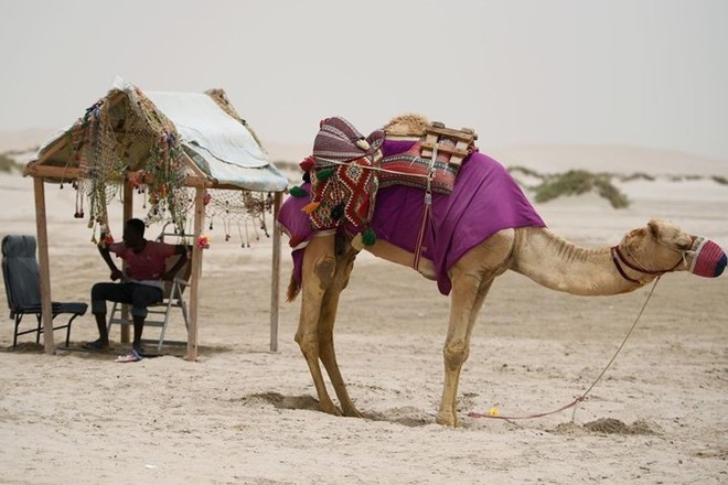 Hình ảnh đất nước Qatar hiện đại và đáng sống giữa sa mạc nóng bỏng - Ảnh 12.