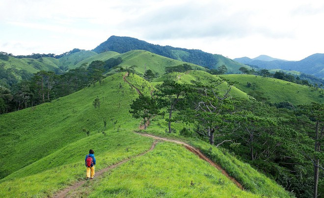 Có nên cấm phượt thủ vào cung trekking Tà Năng – Phan Dũng sau vụ nam phượt thủ tử nạn? - Ảnh 4.