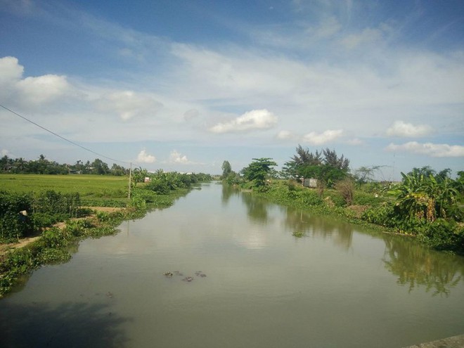 Nghi cá sấu “khủng” sổng ra kênh lớn ở Hải Phòng - Ảnh 1.