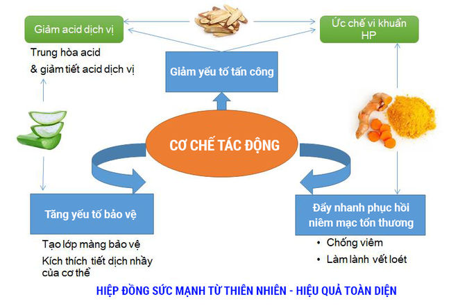 Đau dạ dày đừng tưởng chỉ dùng tinh nghệ nano là đủ  - Ảnh 2.