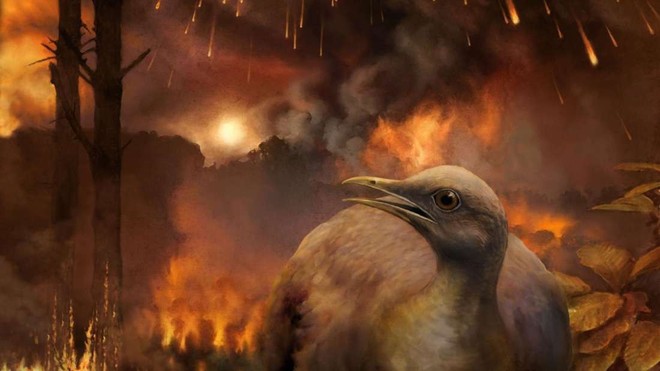 Cùng phải chịu thảm họa thiên thạch nhưng vì sao khủng long tuyệt chủng, chim thì không? - Ảnh 1.