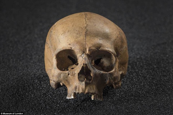 Khai quật bộ xương 1.600 tuổi của người phụ nữ La Mã giàu có - Ảnh 3.