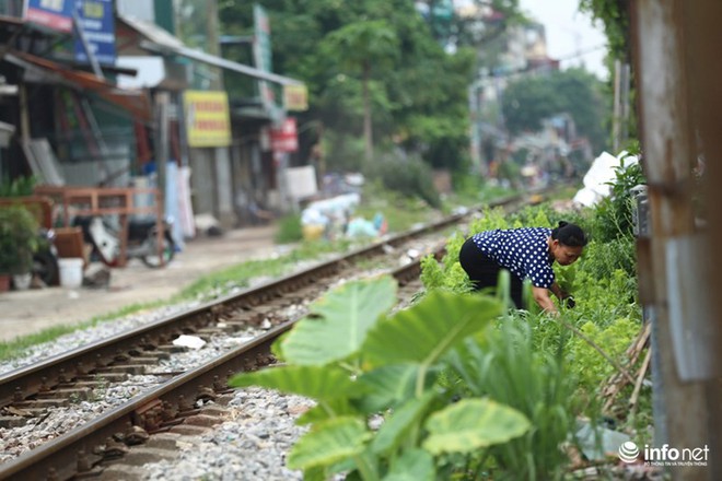 Mưu sinh trên đường ray tàu hỏa, nhìn đã thấy rùng mình - Ảnh 2.