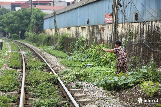 Mưu sinh trên đường ray tàu hỏa, nhìn đã thấy rùng mình - Ảnh 4.