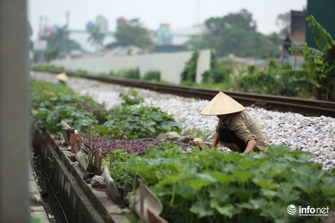 Mưu sinh trên đường ray tàu hỏa, nhìn đã thấy rùng mình - Ảnh 7.