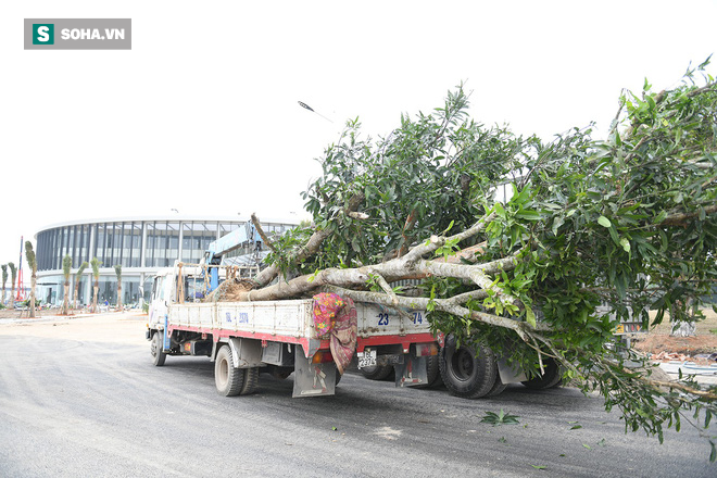 Một ngày ở đại công trường Vinfast: Cận cảnh khu nhà điều hành tuyệt đẹp của Vinfast - Ảnh 15.