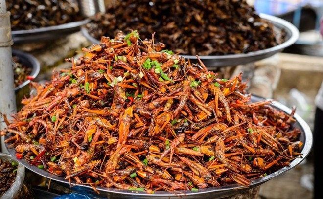 Rết rán Thanh Đảo, mọt cọ Châu Phi hay nhện chiên Campuchia - những món ăn nhìn thì phát sợ nhưng vẫn thành đặc sản của nhiều địa phương - Ảnh 8.