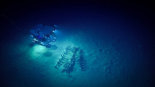 Phát hiện “nghĩa địa của những con tàu chìm ở vùng biển sâu nhất vịnh Mexico - Ảnh 8.